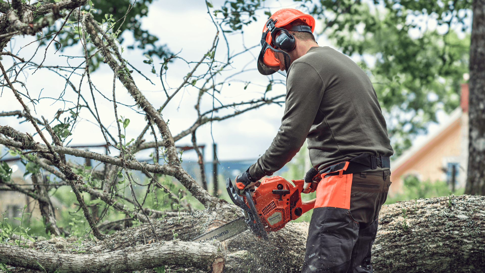 man sawing tree trunk with chainsaw whilst wearing protective gear in backyard